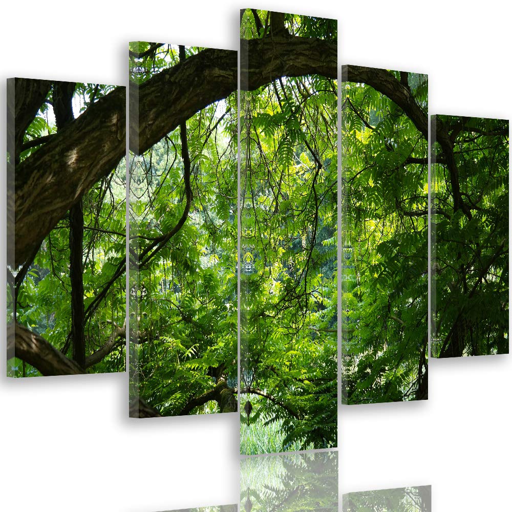 Feeby Wandbild XXL 5 Teilig Landschaft Leinwandbild Wald Bäume Blätter grün 300x140 cm Leinwandbild