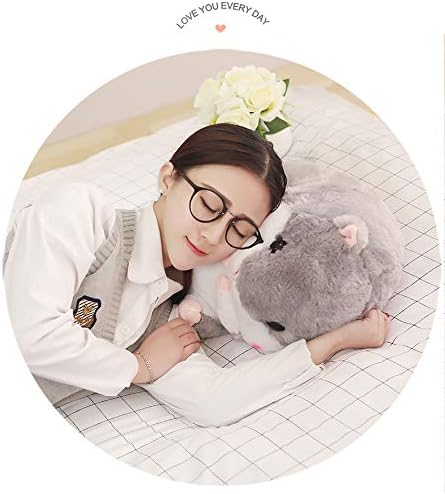 YunNasi 2 in 1 Hamster Kuscheltier Plüschtier Hamster Kissen mit Kuscheldecke Super Süsses Geschenk