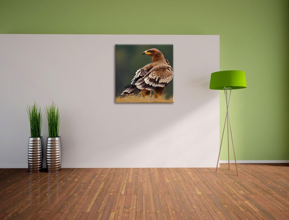 Pixxprint Einsamer Falke mit braunem Gefieder, Format: 70x70 auf Leinwand, 70x70