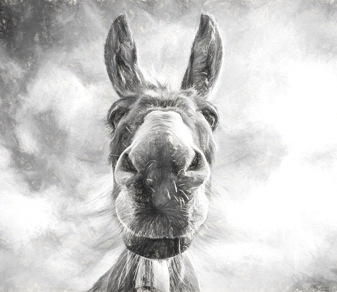 Lustiger Esel Kunst Herdabdeckplatte & Spritzschutz aus Echtglas | Für Herd-Kochfelder | 60x52 cm