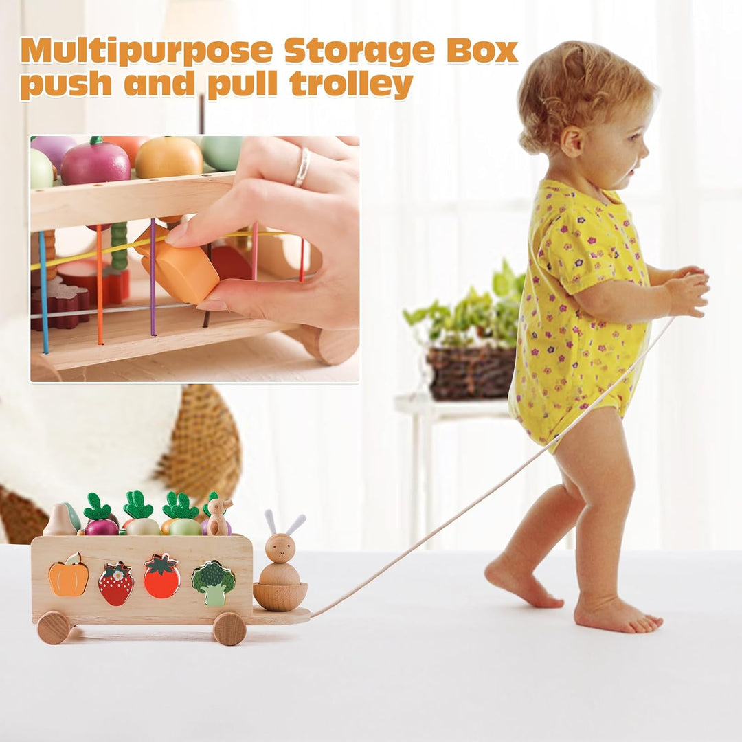 WOODEN TEETHER Montessori Holzspielzeug ab 1 2 3 Jahr, Steckspiel Sortierspiel Holzpuzzle Karottener