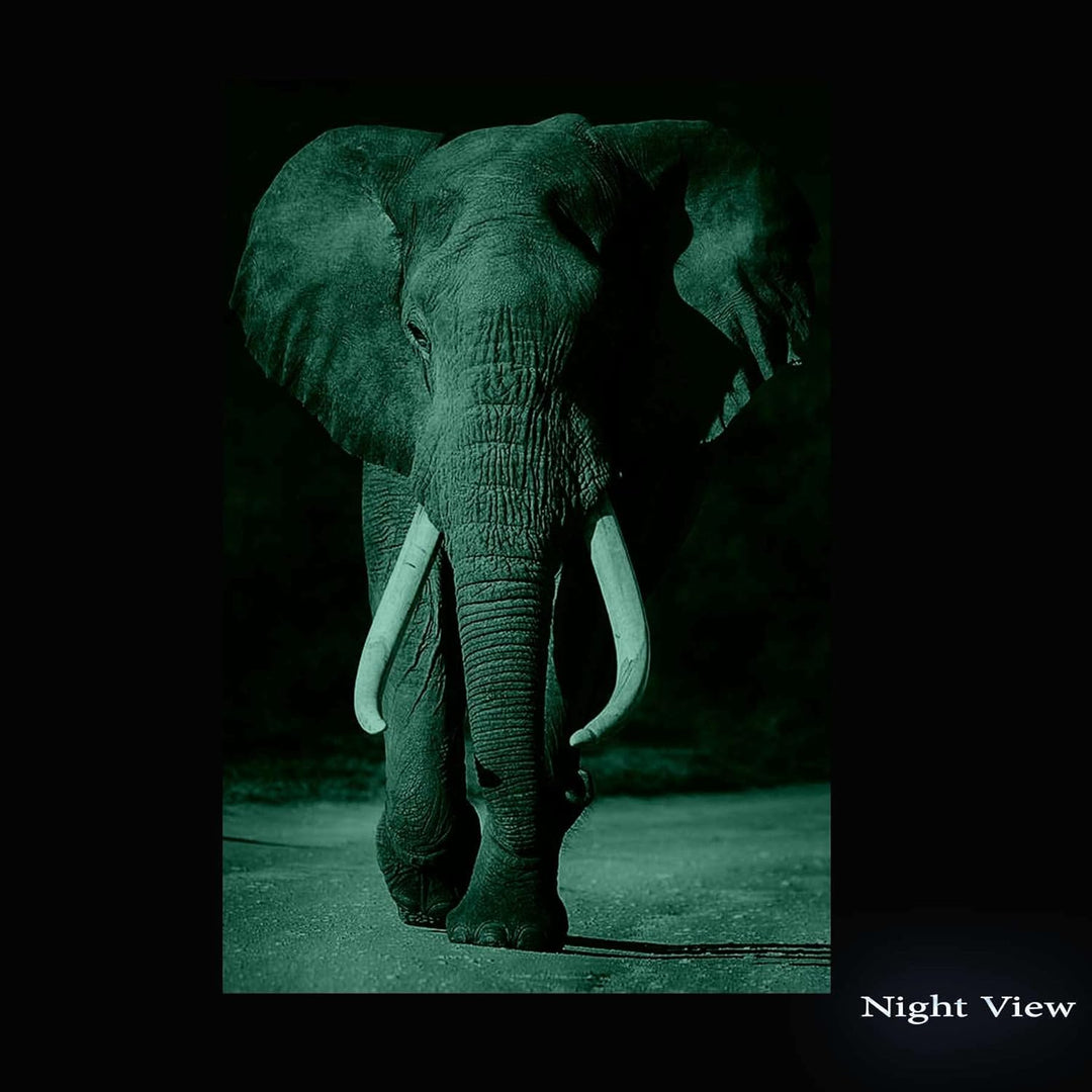 Startonight Glasbild Elefant, Bild auf Acrylglas Muster Modern Dekoration Fertig zum Aufhängen 60 x