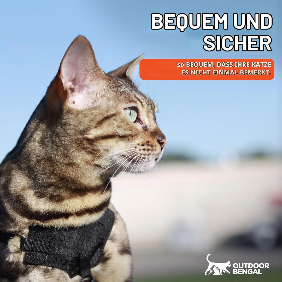 OutdoorBengal Katzengeschirr und Leine, gross, ausbruchsicher, erstickungsfrei, leicht, einfach anzu