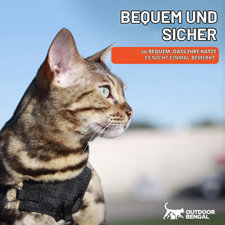 OutdoorBengal Katzengeschirr und Leine, gross, ausbruchsicher, erstickungsfrei, leicht, einfach anzu