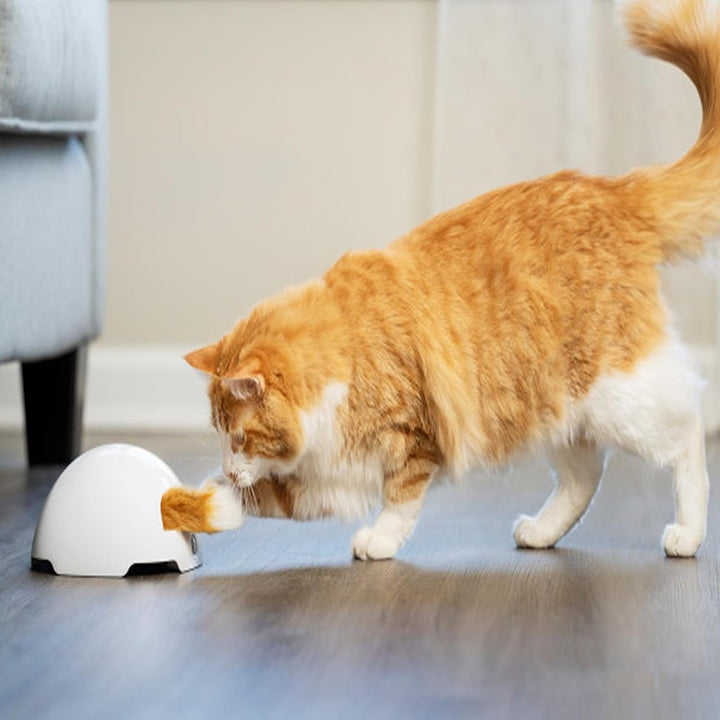 PetSafe Fuchsbau Katzenspielzeug, Interaktives Beschäftigungsspielzeug mit Fuchsschwanz, ‎3 AA Batte
