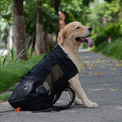 PETCUTE Hundetasche Hundetransporttasche Tragetasche füR Hunde Katzen Wanderrucksack Seite Atmungsak