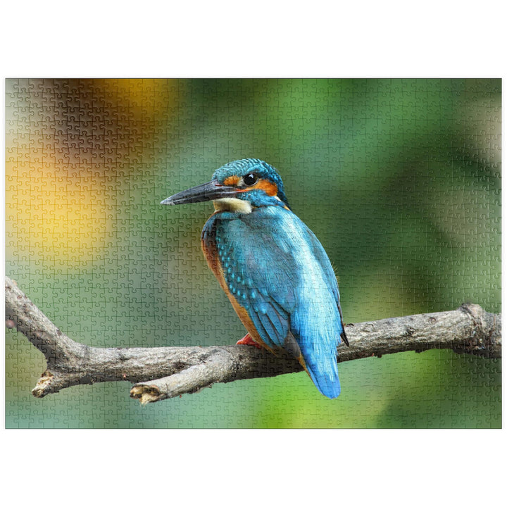 Eisvogel - Premium 1000 Teile Puzzle - MyPuzzle Sonderkollektion von Puzzle Galaxy, 1000 Teile