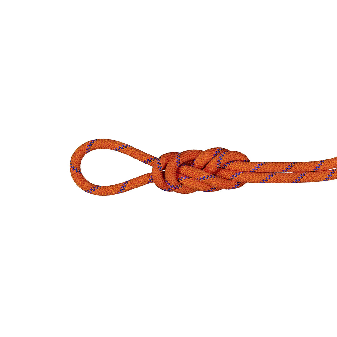 Mammut 9.0 Alpine Sender Dry Seil 60m orange Dry - Sunrise/Ice Lg 60, Dry - Sunrise/Ice Lg 60