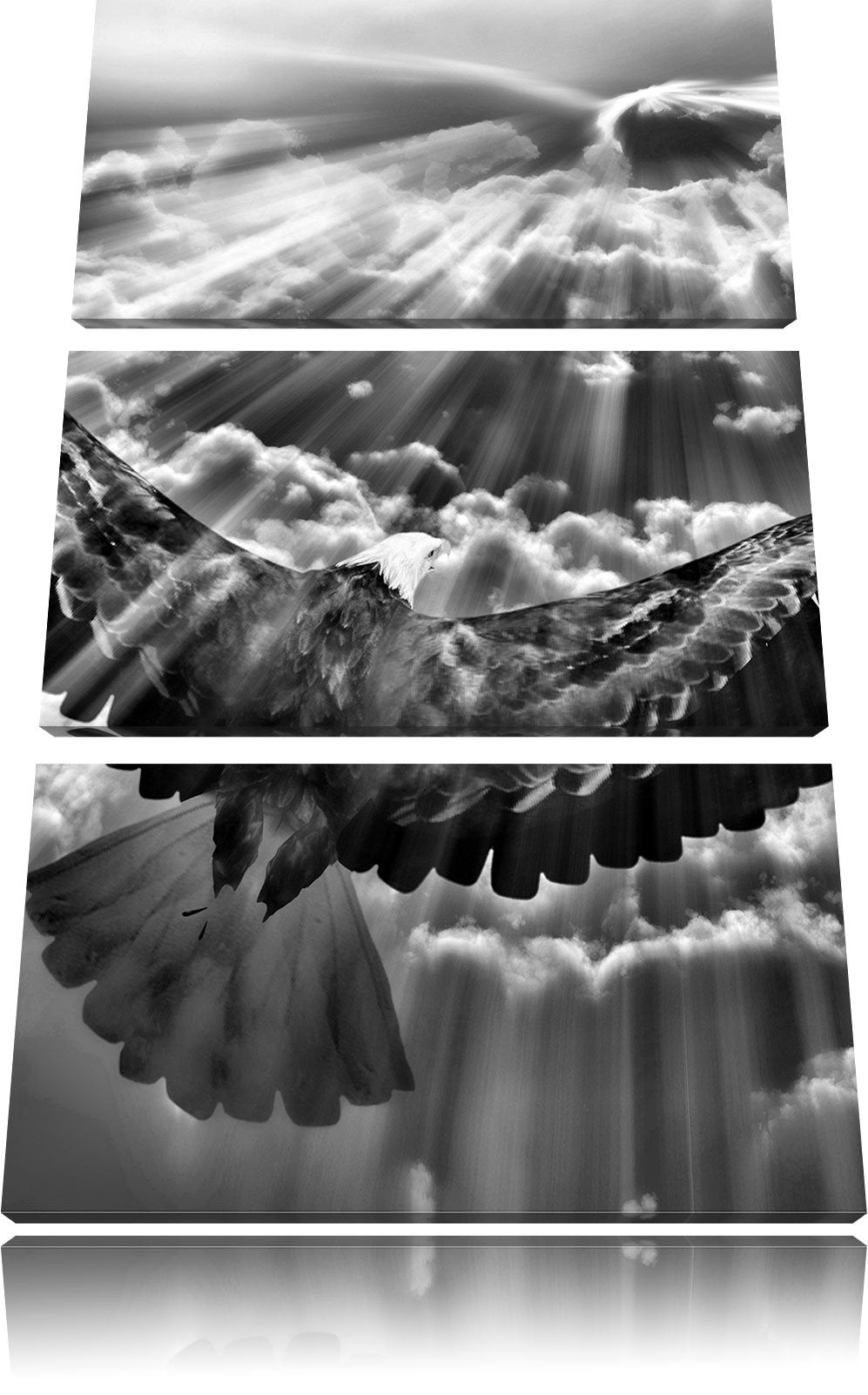 Pixxprint Adler über den Wolken / 3-Teilig/Gesamtmass 120cm Leinwandbild bespannt auf Holzrahmen/Wan