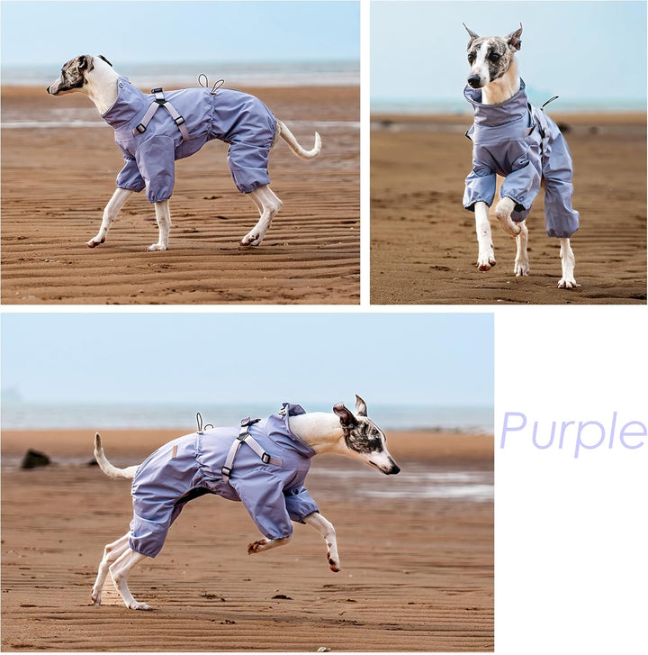 Hundegeschirr-Regenmantel, verstellbare Hundejacke mit Geschirr für 4 Beine, reflektierender Overall