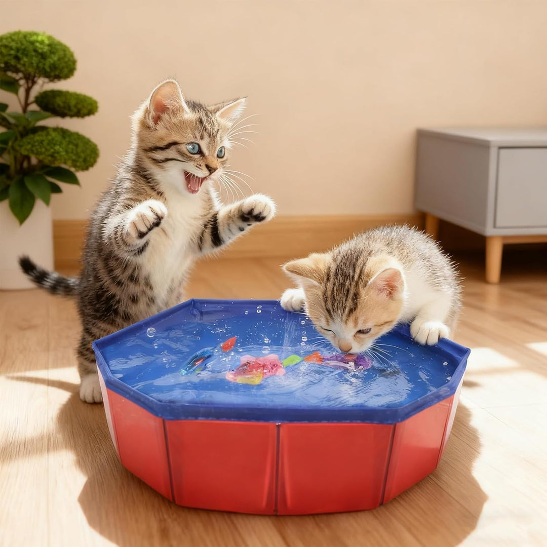Katzen Pool Spielzeug mit Fischspielzeugen, faltbares Katzenspielzeug Wasser, interaktives Wasserspi