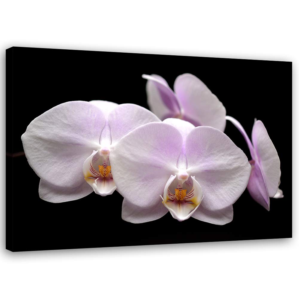 Feeby Wanddeko Orchidee Leinwandbild Kunstdruck für Schlafzimmer Weiss 90x60 cm Leinwandbild 90x60 c