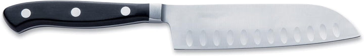 F. DICK Santoku, Küchenmesser, Premier Plus (Messer mit Klinge 14 cm, X50CrMoV15 Stahl, nichtrostend