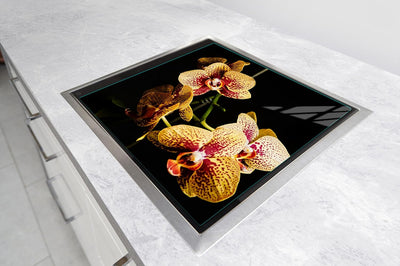 DarHuas Herdabdeckplatte 50x52 cm 1-teilig Ceranfeldabdeckung Induktion Herdschutz Spritzschutz Glas