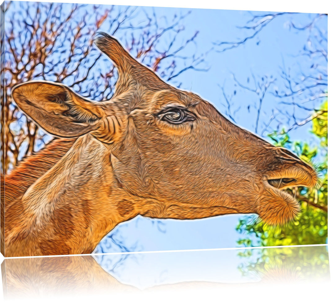 anmutige Giraffe isst Deluxe Format: 100x70 cm auf Leinwand, XXL riesige Bilder fertig gerahmt mit K