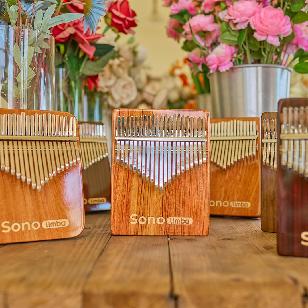 Kalimba "Sonolimba" mit 17 Schlüsseln in C - Dur aus Rosenholz - Daumenklavier inkl. Set mit Liederb