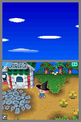 Nintendo Animal Crossing - Wild World