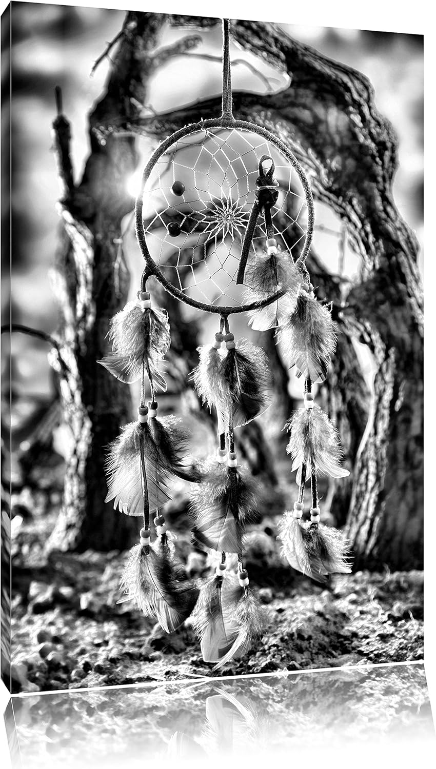 Monocrome, Dreamcatcher, Format: 100x70 auf Leinwand, XXL riesige Bilder fertig gerahmt mit Keilrahm