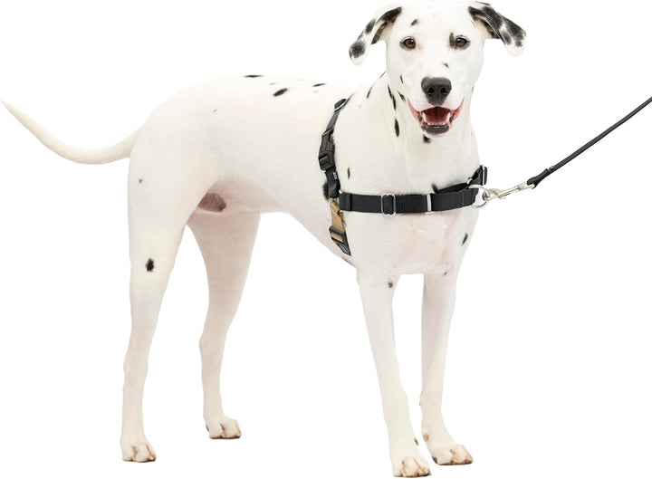 PetSafe Easy Walk Hundegeschirr. schwarz/silber Medium/Large, schwarz/silber Medium/Large