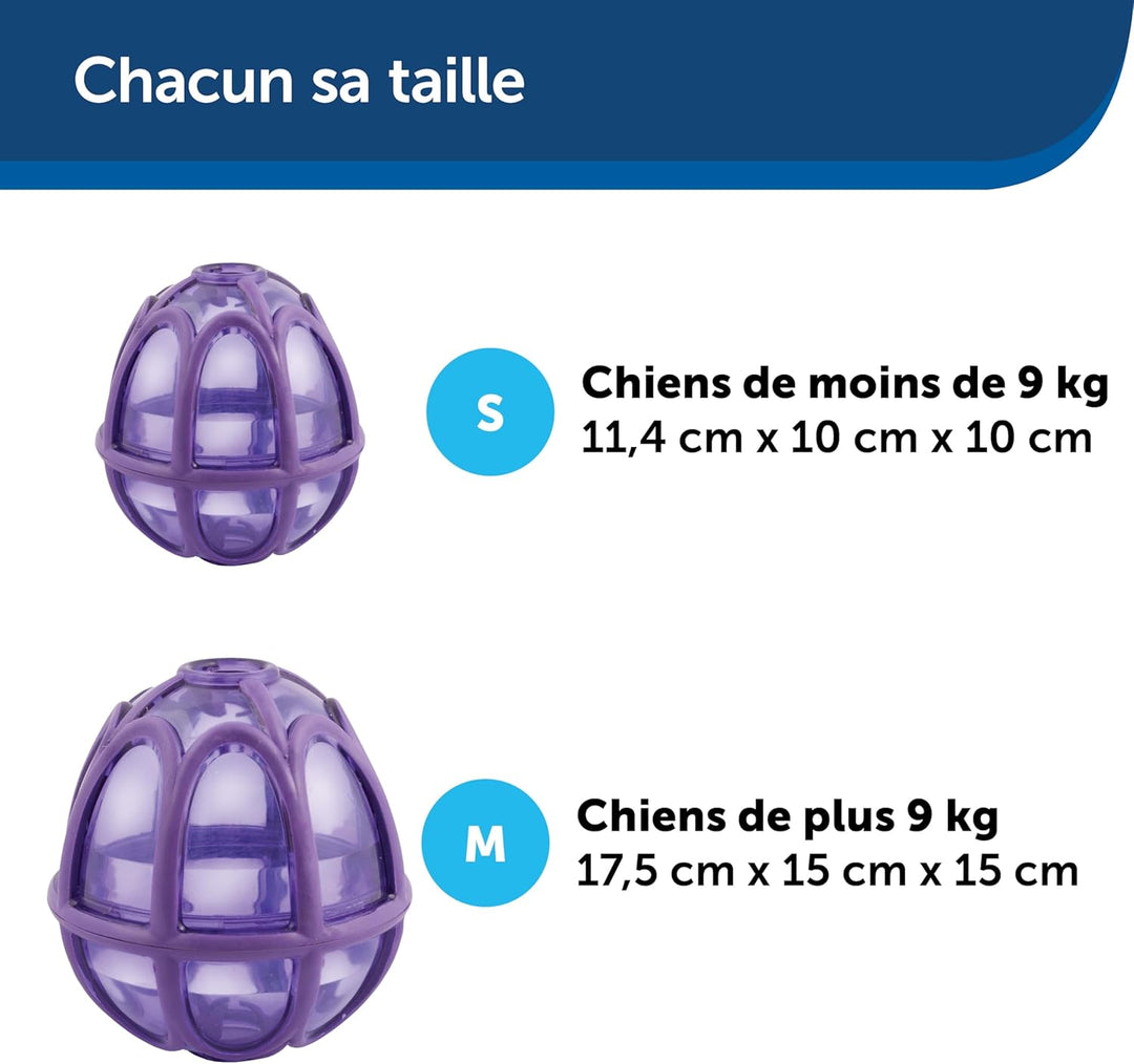 PetSafe Kibble Nibble Hunde-Snackspielzeug für Leckerlis und Trockenfutter, Spülmaschinenfest, BPA-f