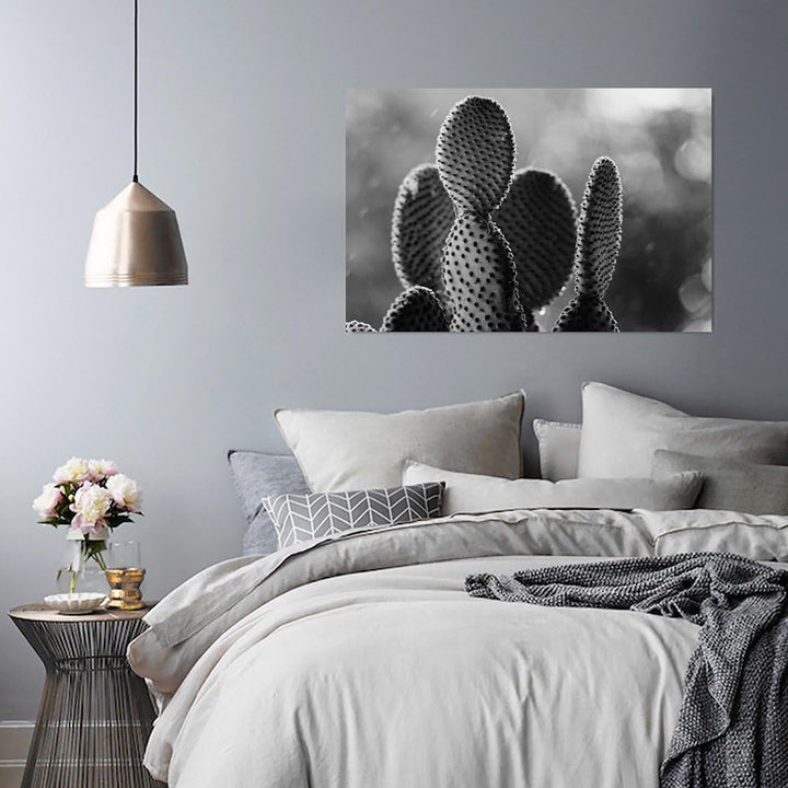 Feeby. Wandbilder - 1 Teilig- 70x100 cm - Bilder Kunstdrucke Deko Panel, KAKTUS, NATUR, SCHWARZ UND