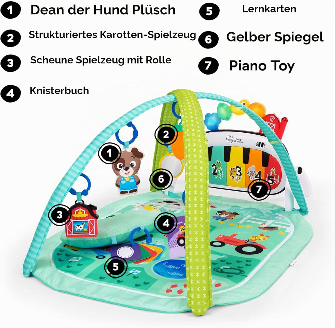 Baby Einstein Farm Explorers 4-in-1 Kickin' Tunes Musical Meadow Musik- & Sprachentdeckungs-Spielbog
