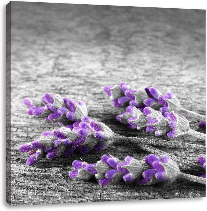 Pixxprint liegender Lavendel auf Stamm als Leinwandbild Quadratisch/Grösse: 70x70 / Wandbild/Kunstdr