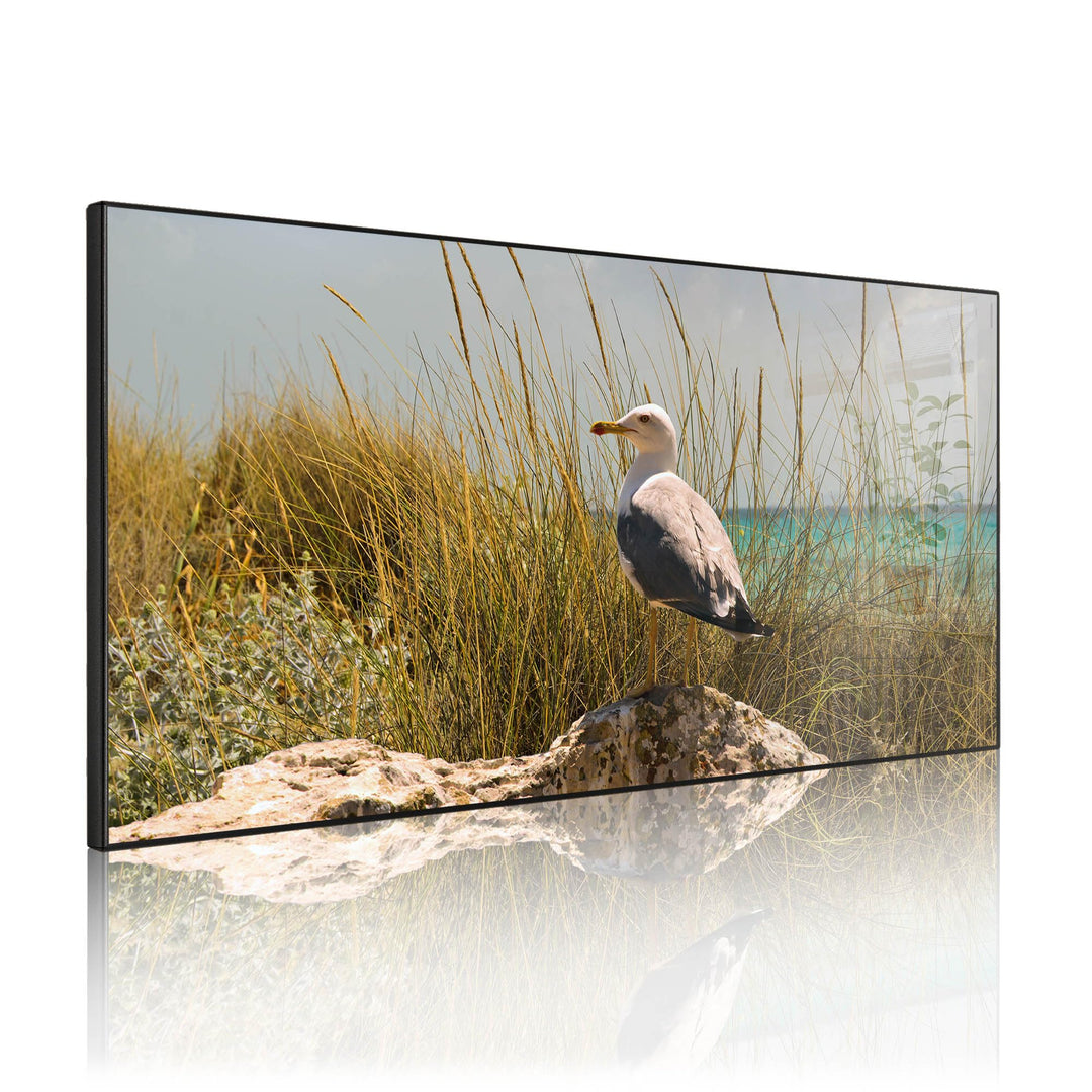 banjado Magnettafel schwarz 78 x 37cm / Magnetwand Metall/Magnetpinnwand als Memoboard/Pinnwand Magn