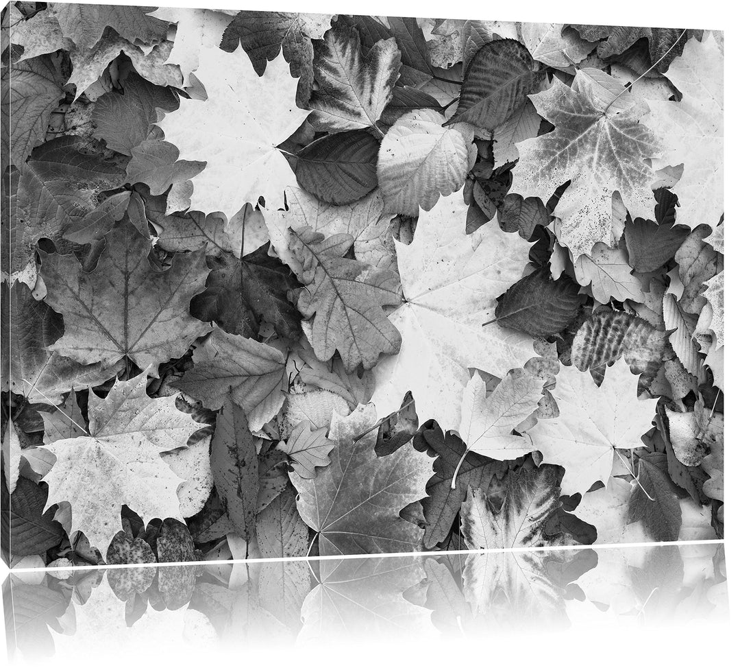 Herbstblätter Kunst B&W, Format: 100x70 auf Leinwand, XXL riesige Bilder fertig gerahmt mit Keilrahm
