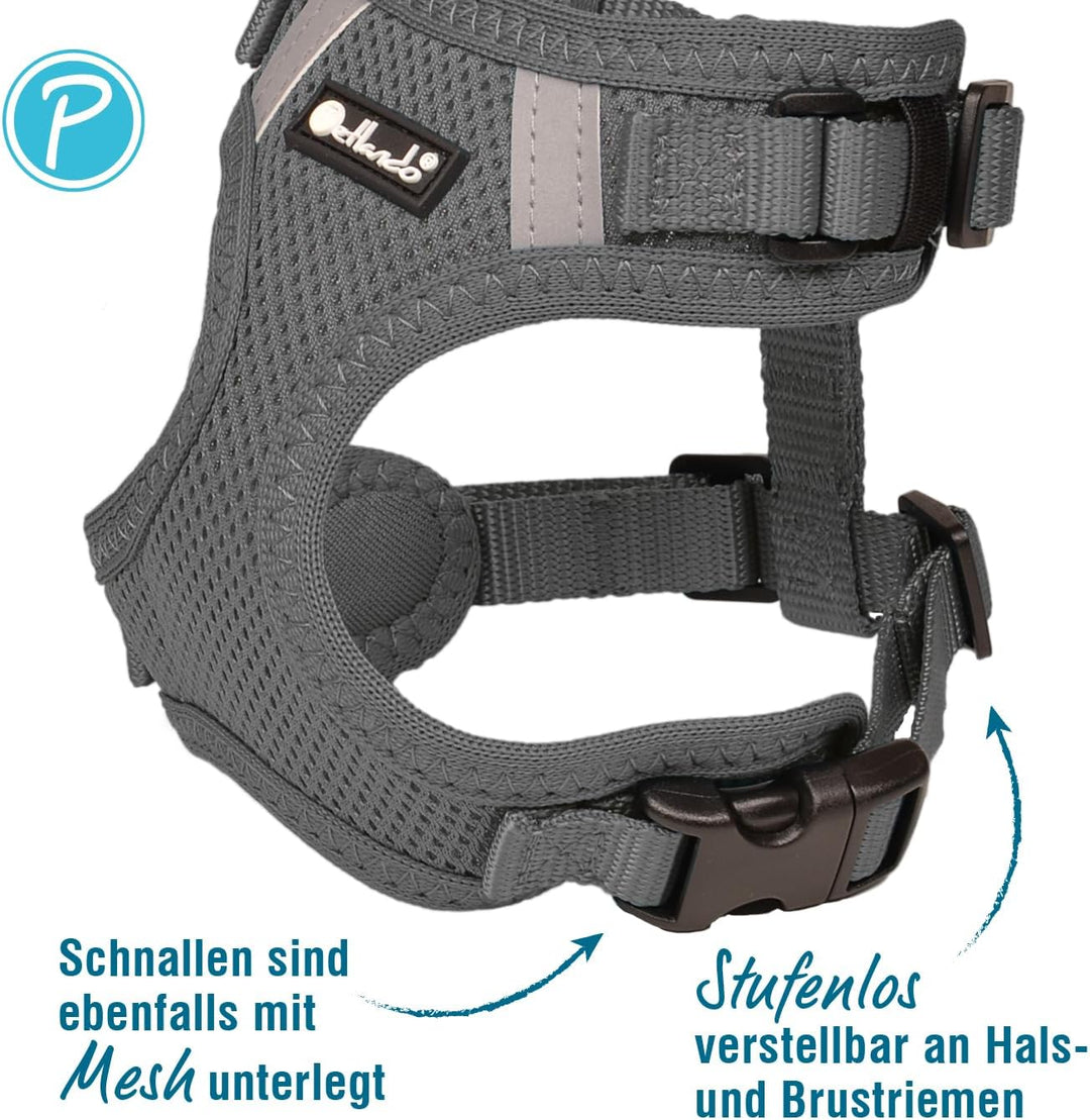 Petlando Hundegeschirr Mesh Vest, leichtes Brustgeschirr aus weichem Mesh & Nylon, stufenlos verstel