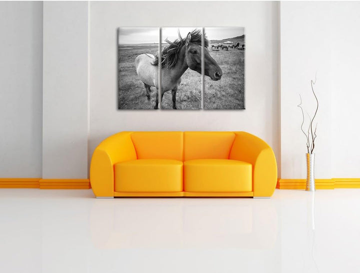 Isländer Pferde in der Wildnis / 3-Teilig/Gesamtmass 120cm Leinwandbild bespannt auf Holzrahmen/Wand