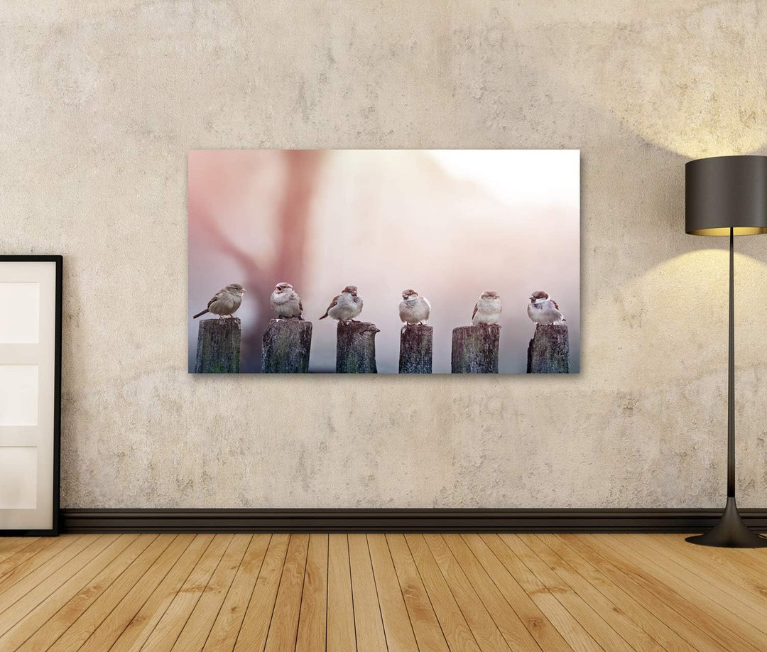 islandburner Bild auf Leinwand Spatzen Sonnenlicht Pfähle Bilder Wandbilder Poster, 80L x 40B cm