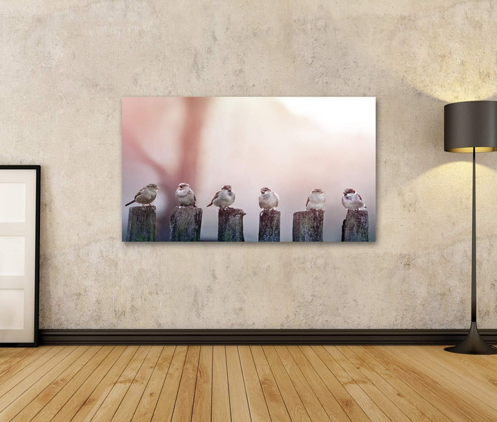islandburner Bild auf Leinwand Spatzen Sonnenlicht Pfähle Bilder Wandbilder Poster, 80L x 40B cm