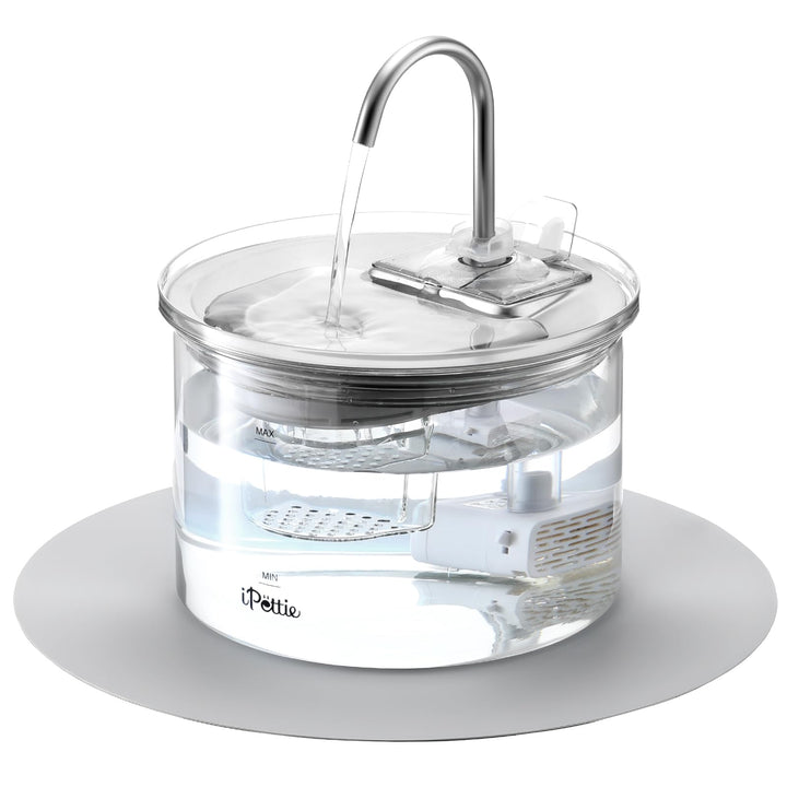 iPettie G01 Glas Katzenbrunnen, Trinkbrunnen für Katzen und Hunde 2L/68oz mit 2 Sprühaufsätzen, 3-st
