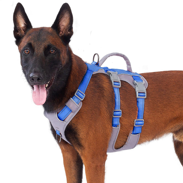 Huntboo Sicherheitsgeschirr Hund Ausbruchsicher, Panikgeschirr für Hunde, Reflektierendes Geschirr H