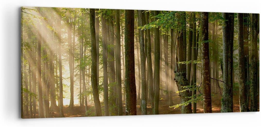 Wandbilder Dekoration Wohnzimmer Wald Baum Natur Panorama Bilder auf Leinwand 120x50cm Leinwandbild