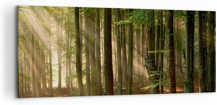 Wandbilder Dekoration Wohnzimmer Wald Baum Natur Panorama Bilder auf Leinwand 120x50cm Leinwandbild