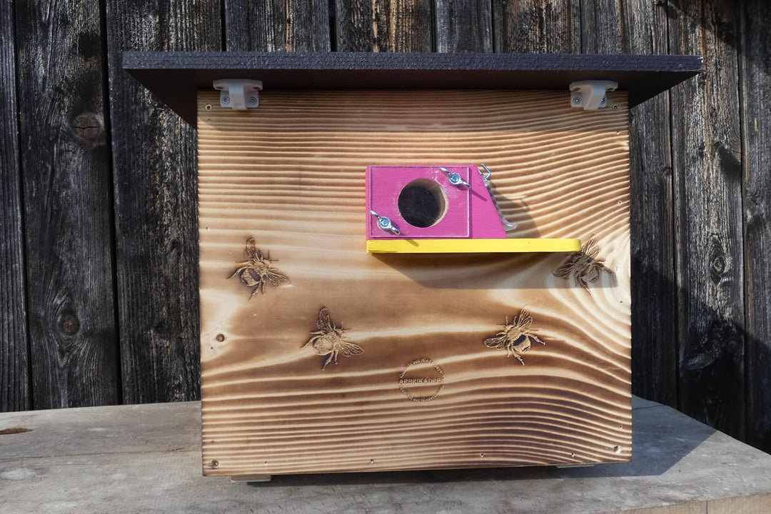 Premium Hummelkasten mit Wachsmottensperre, 2X Sichtfenster und Nistmaterial Wetterfest Bienenhaus H