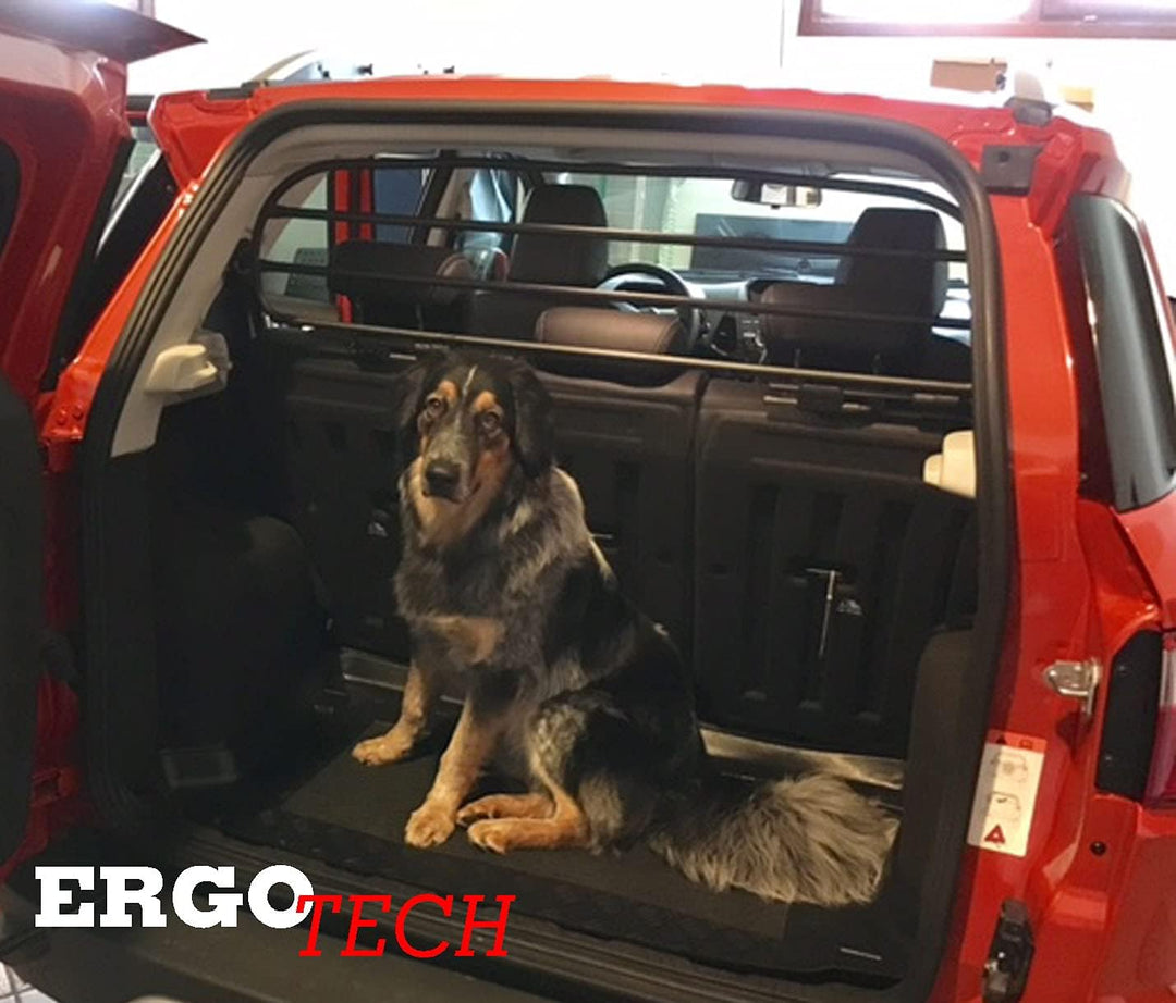 ERGOTECH Trenngitter Hundegitter kompatibel mit Ford Ecosport, RDA65HBG-S, für Hunde und Gepäck