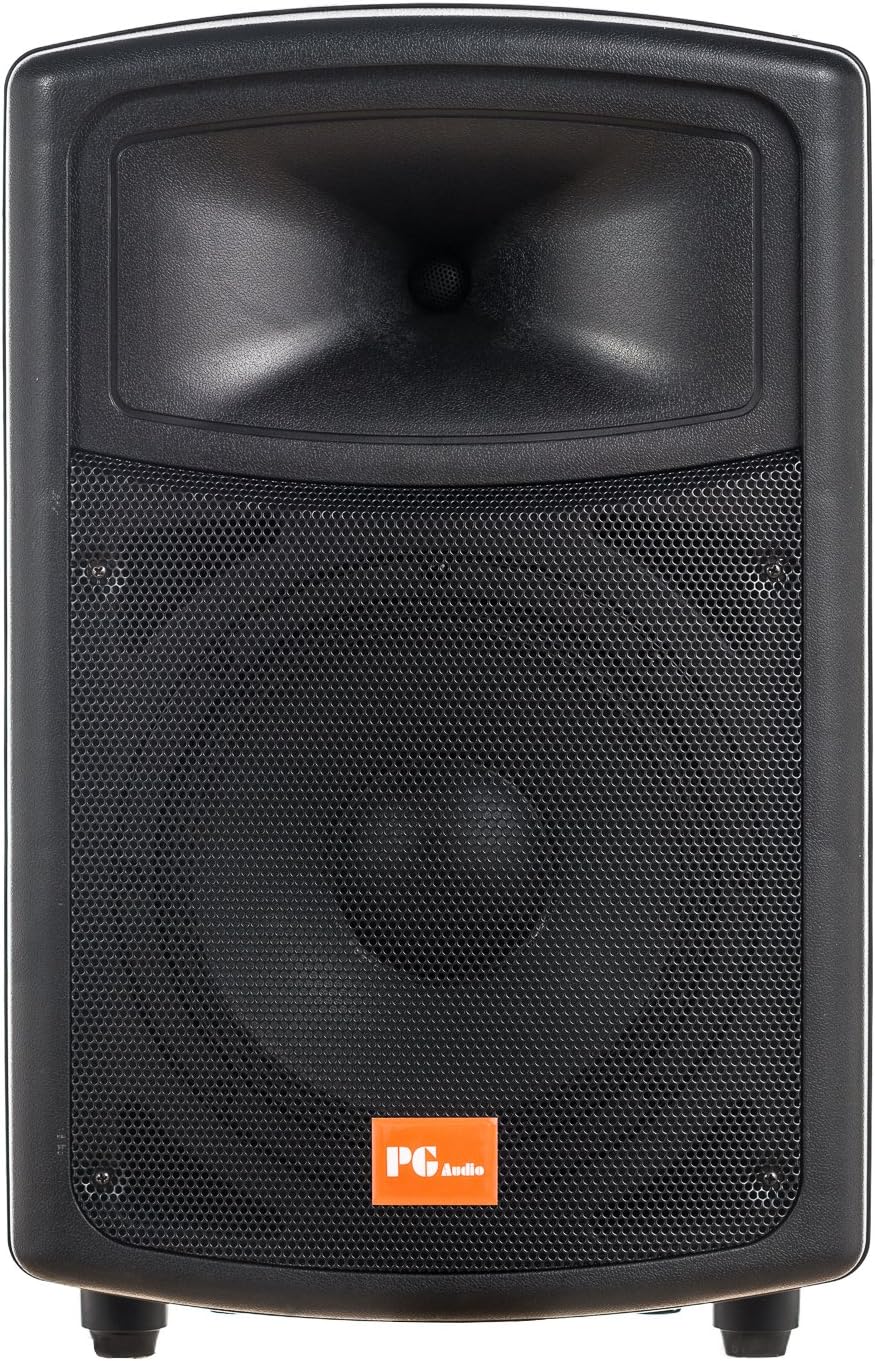PG Audio PA 100,Disko,Party,Pa Lautsprecher,10 Zoll,1 Stück Neu