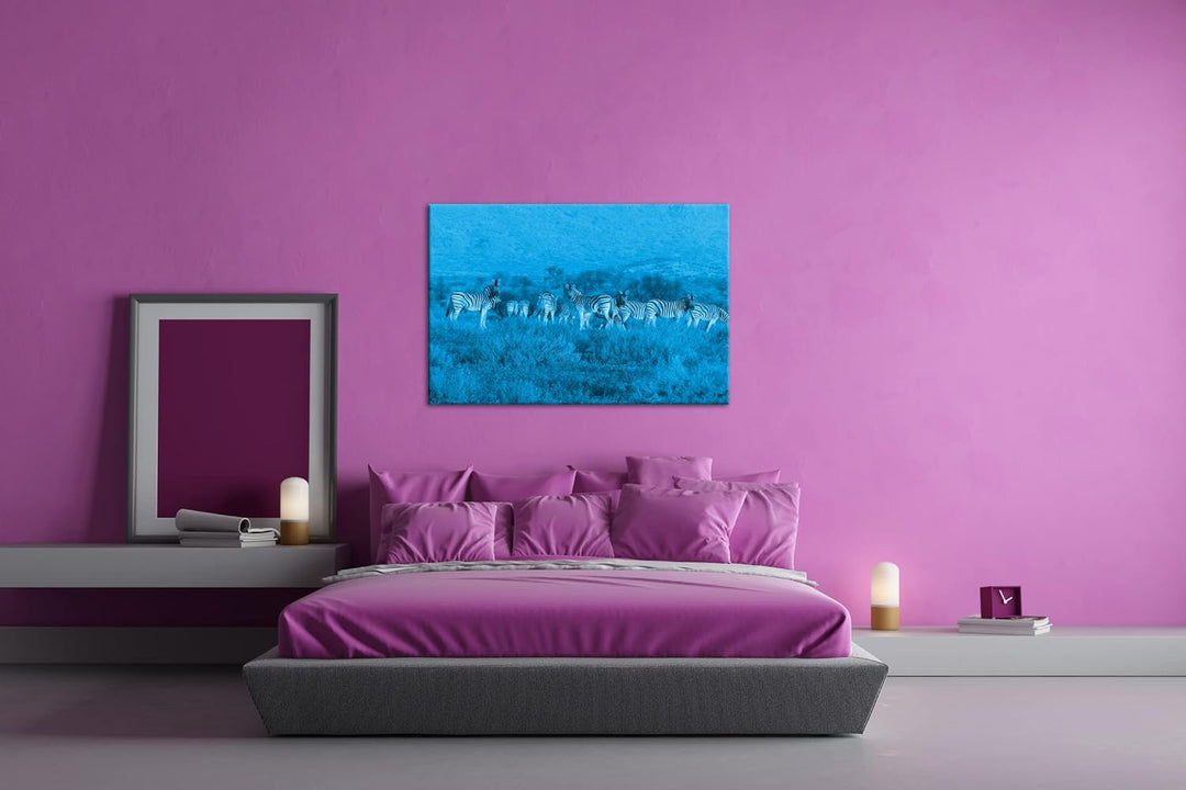deyoli kleine Zebra Gruppe in der Savanne Format 80x60 Effekt: Monocrome Blau als Leinwandbild, Moti