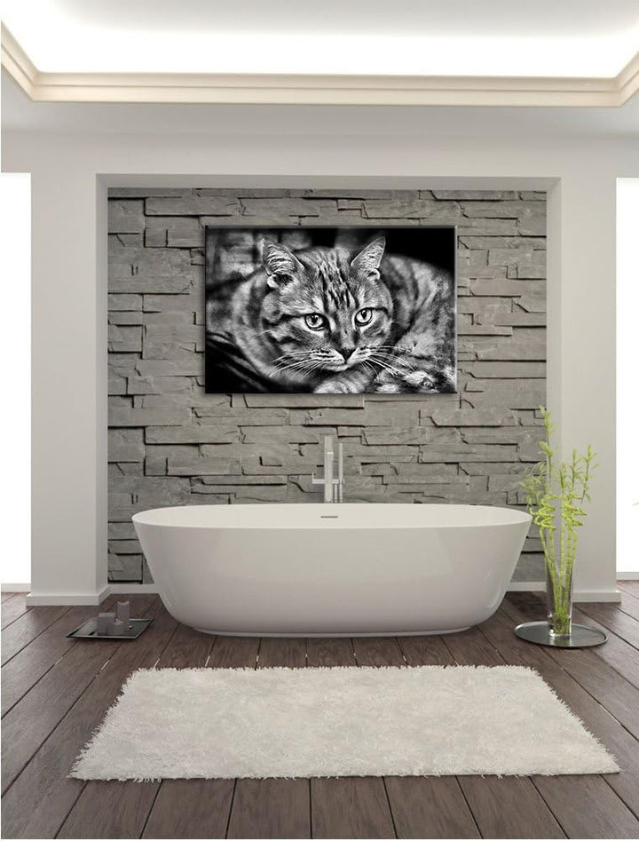 Pixxprint Monocrome, schöne Hauskatze, Format: 100x70 auf Leinwand, riesige Bilder fertig gerahmt mi