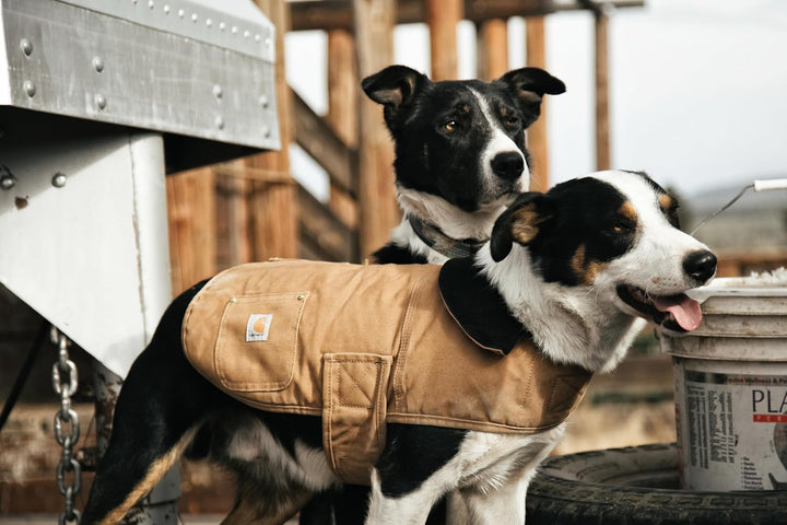 Carhartt Firm Duck Insulated Dog Chore Coat L Carhartt Brown, L Carhartt Brown