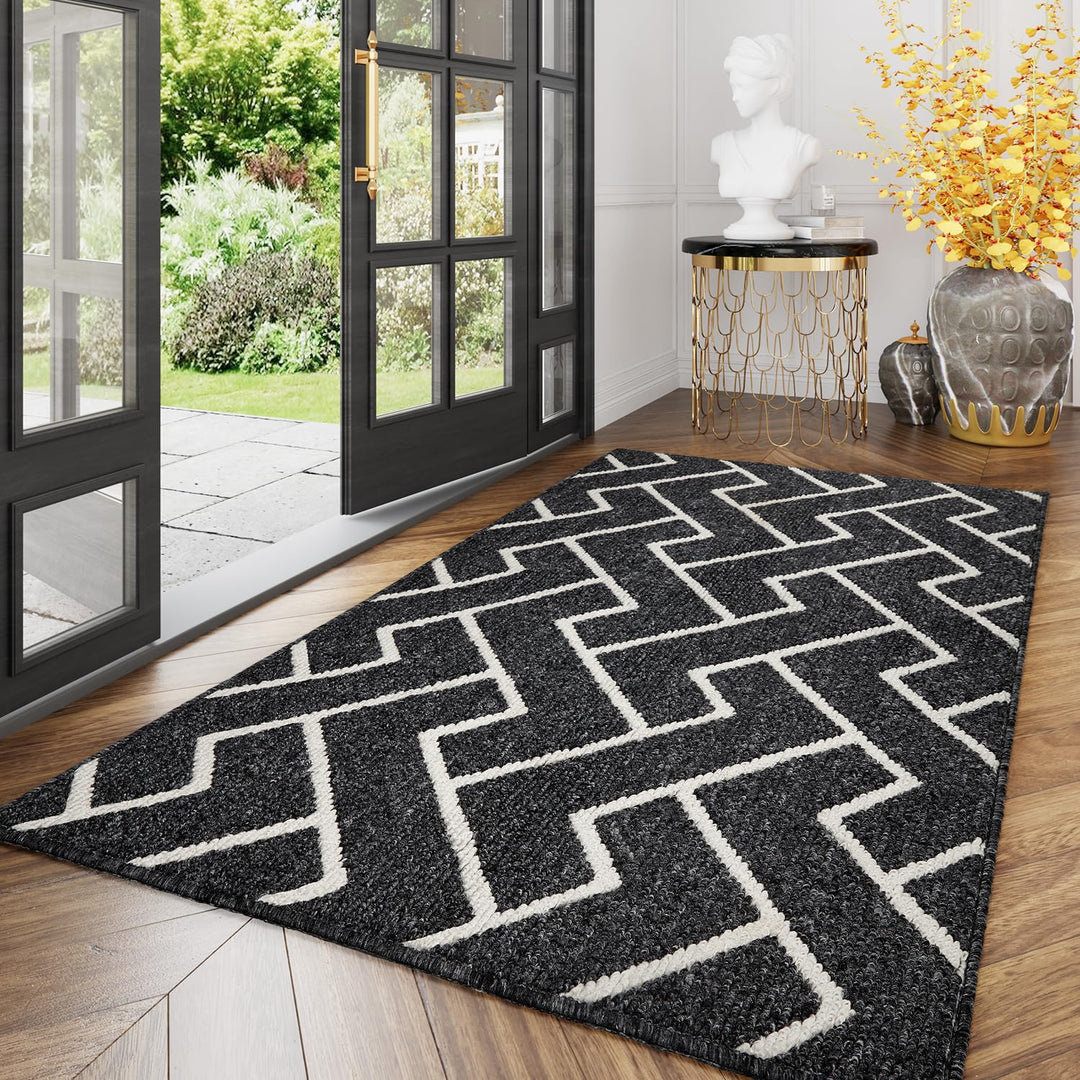 Biscpro Schmutzfangmatte 120 x180 cm, Rutschfestigkeit Fussmatte,Eingangstürmatte Türmatte für Hund,