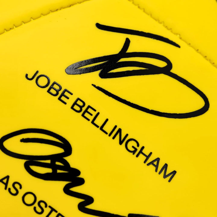 Borussia Dortmund BVB Unterschriftenball 2025/26, signiert, gelb, Grösse 1