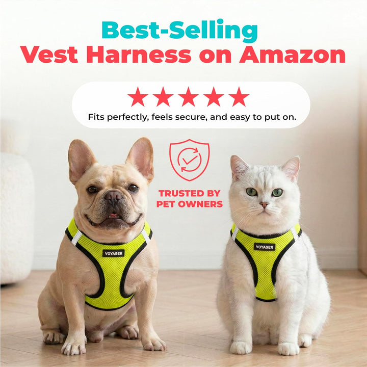Voyager Step-In Air-Hundegeschirr – Allwetter-Mesh-Weste für kleine und mittelgrosse Hunde und Katze