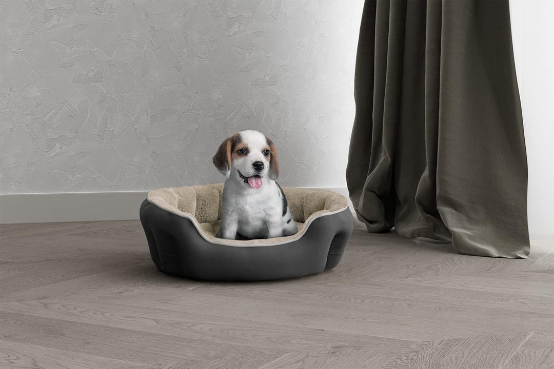 Sogni E Capricci Bett für Hunde und Katzen, Creme, 48 x 42 x 16 cm Creme L 48 x B 42 x H 16 cm COCCO