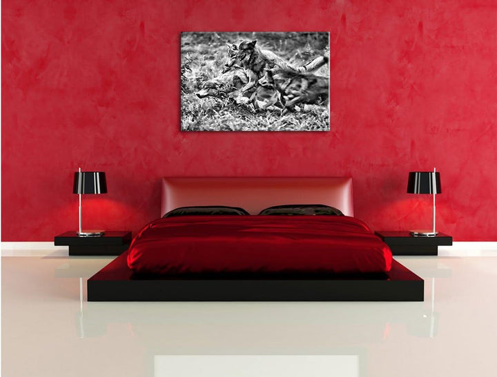 Pixxprint Tobendes Wolfsrudel als Leinwandbild/Grösse: 100x70 / Wandbild/Kunstdruck/fertig bespannt,
