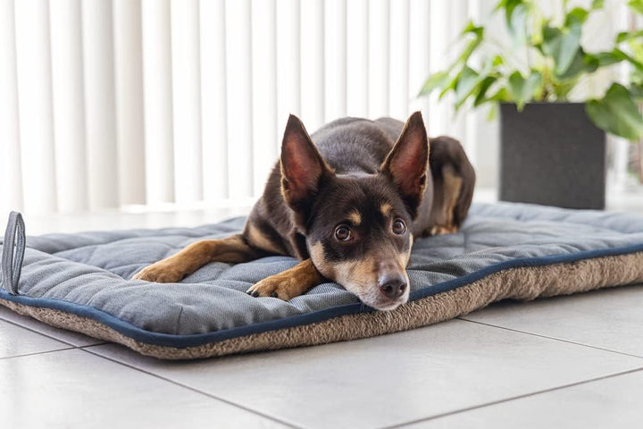 DGS Nano Chenille Sleeper Cushion Lex L: 109 cm B: 69 cm H: 3,5 cm grau, L: 109 cm B: 69 cm H: 3,5 c