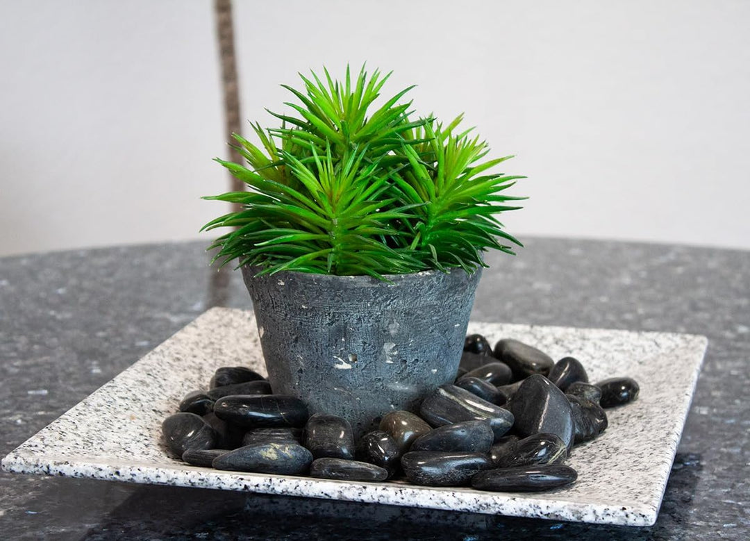 Dekosteine schwarz poliert 20 kg, Kieselsteine Garten 2-3 cm, Zierkies für Vasen, Flusssteine, Ziers